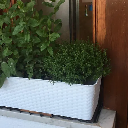 Maison De Famille Konukevi 4*